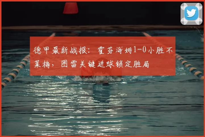 德甲最新战报:霍芬海姆1-0小胜不莱梅,图雷关键进球锁定胜局