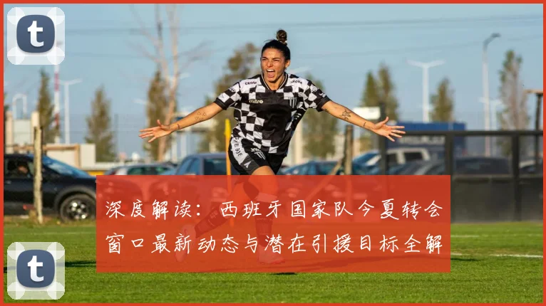 深度解读：西班牙国家队今夏转会窗口最新动态与潜在引援目标全解析